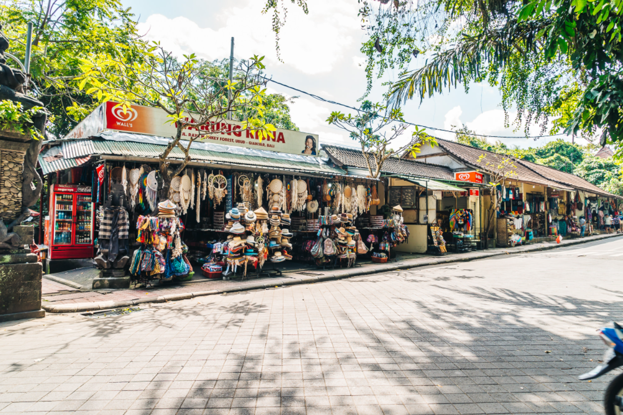 Shopping In Ubud Monkey Forest